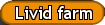 Livid farm
